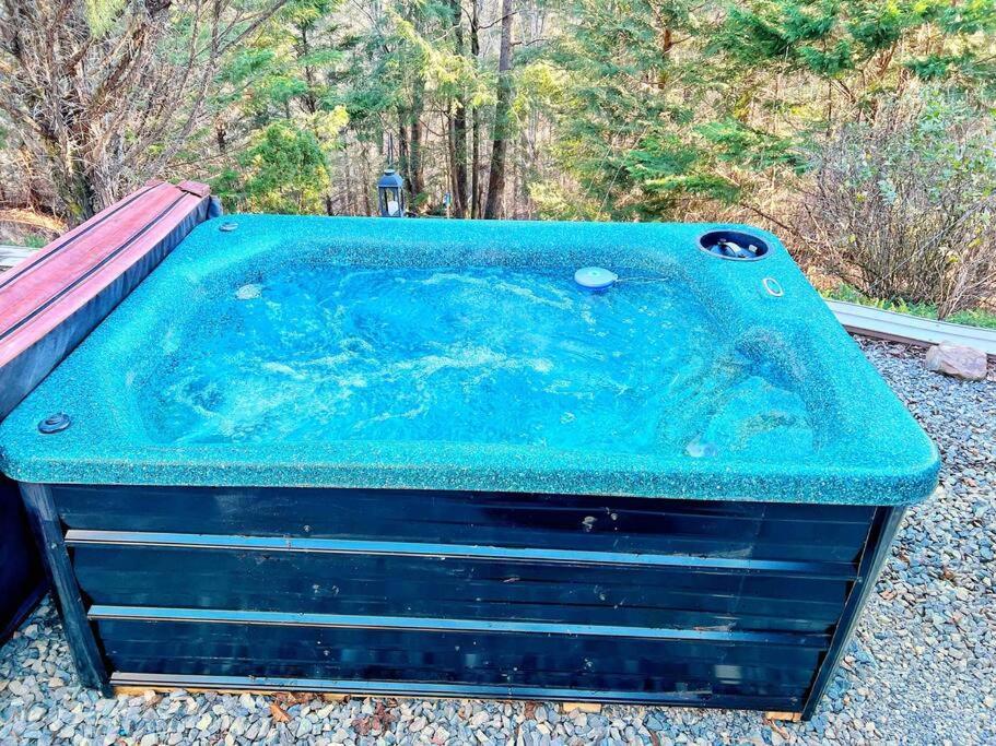 Cosby Tiny House, Wifi,Hot Tub,Secludedヴィラ エクステリア 写真