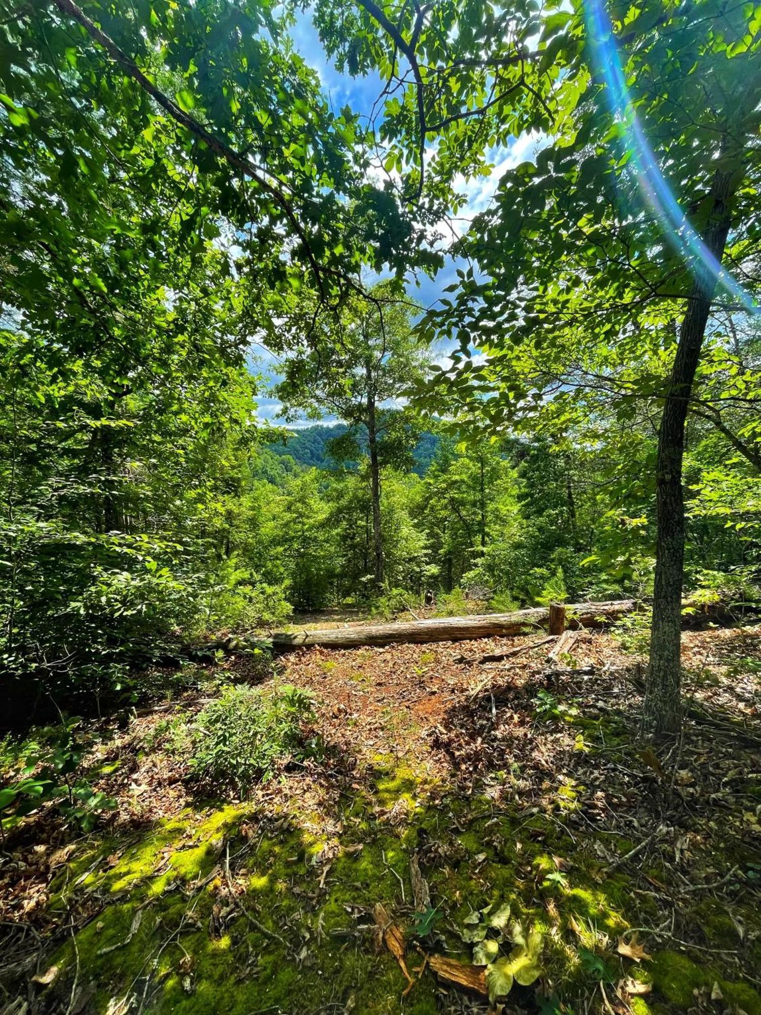 Cosby Tiny House, Wifi,Hot Tub,Secludedヴィラ エクステリア 写真