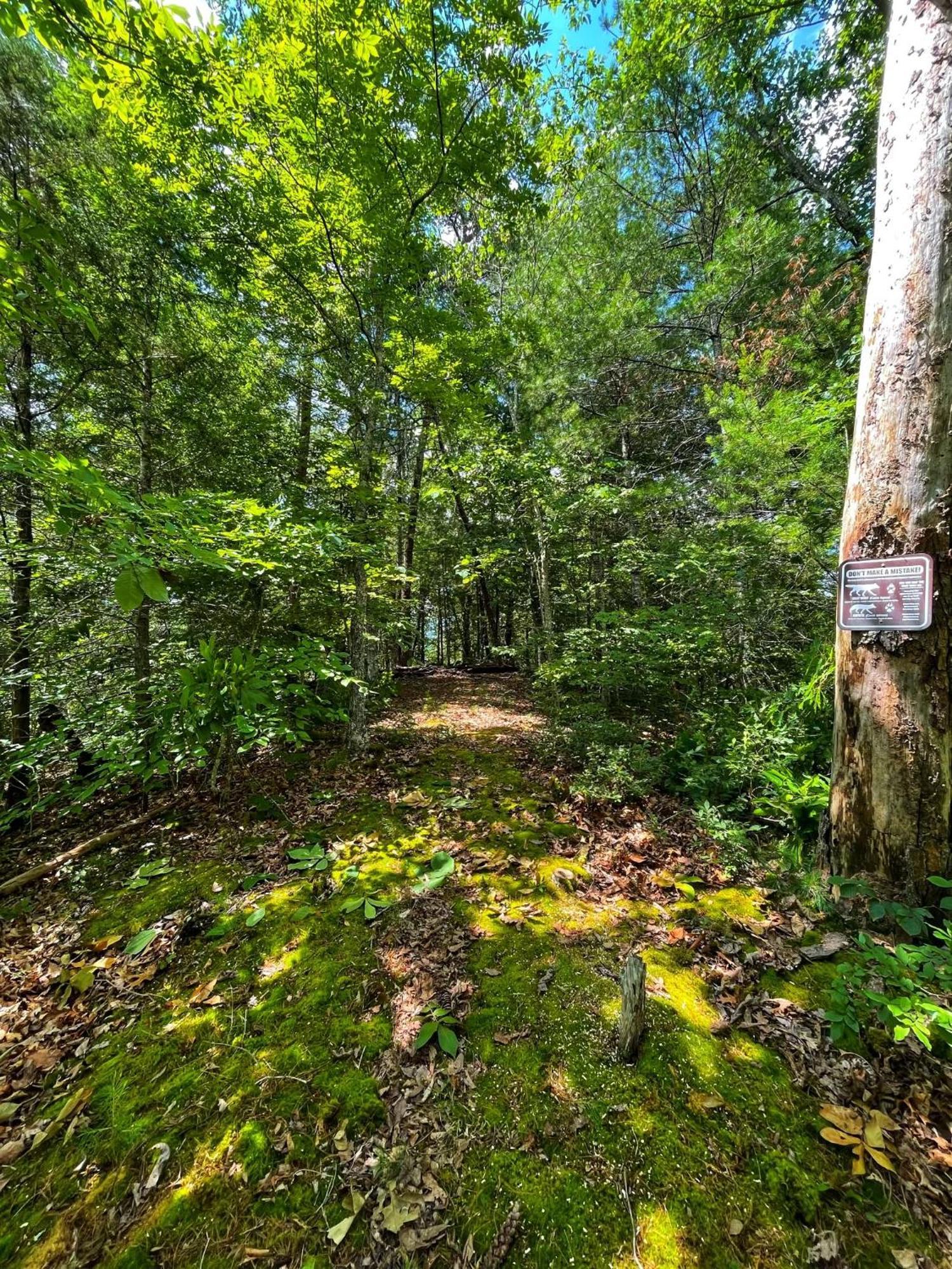Cosby Tiny House, Wifi,Hot Tub,Secludedヴィラ エクステリア 写真