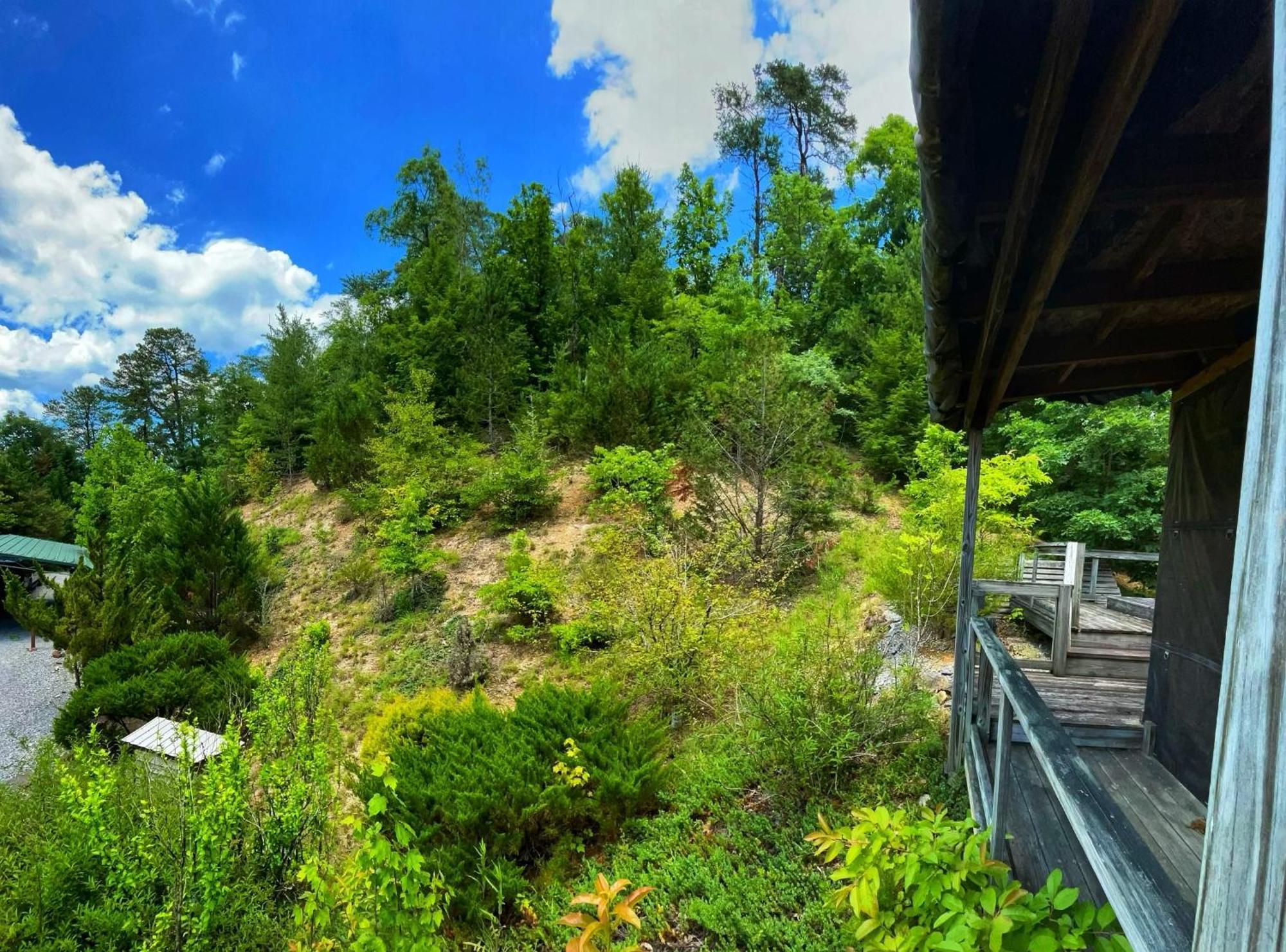 Cosby Tiny House, Wifi,Hot Tub,Secludedヴィラ エクステリア 写真