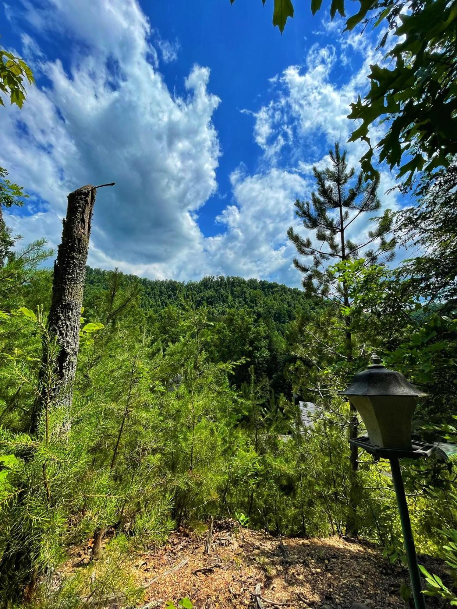 Cosby Tiny House, Wifi,Hot Tub,Secludedヴィラ エクステリア 写真